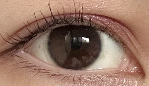 ハイパーリフトマスカラ/D-UP/マスカラを使ったクチコミ（2枚目）