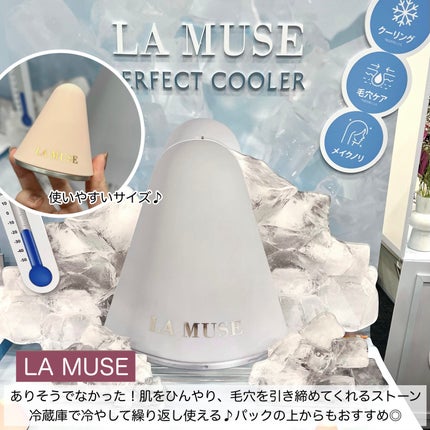 パーフェクトクーラー/ラミューズ/その他スキンケアグッズを使ったクチコミ(4枚目)