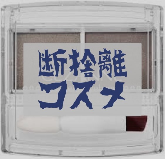 パウダーアイブロウR ブラウン/CEZANNE/パウダーアイブロウを使ったクチコミ（1枚目）