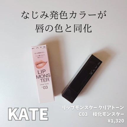 リップモンスター クリアトーン/KATE/口紅を使ったクチコミ(1枚目)