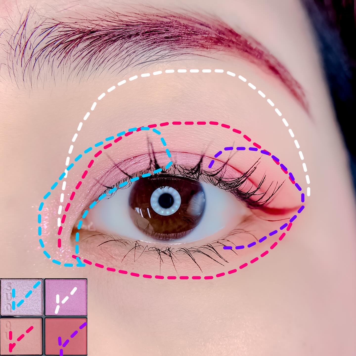 シークレットシェイプパレット/LUNASOL/パウダーチークを使ったクチコミ（2枚目）