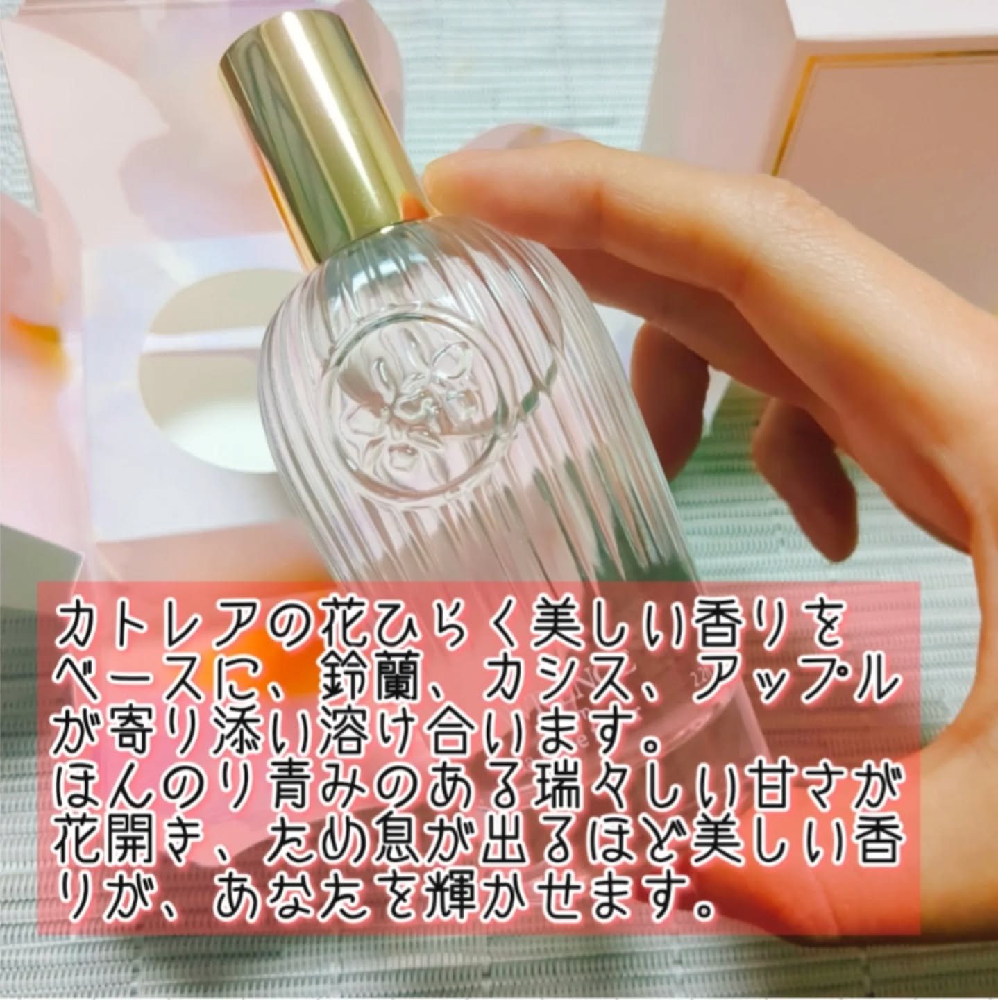 ロウレンス　パルファム　マベルフルール/ロウレンス /香水(レディース)を使ったクチコミ（2枚目）