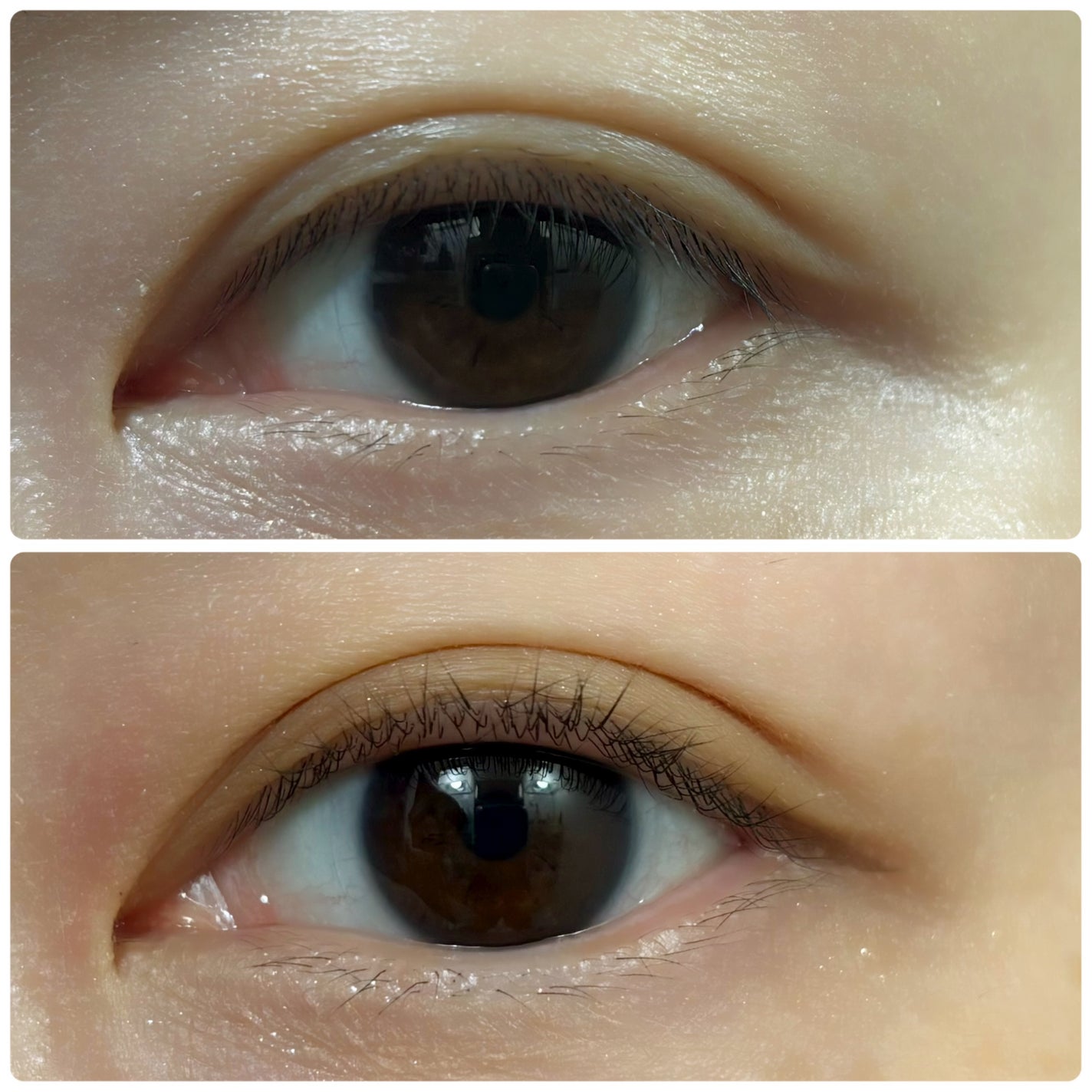 ひとえ・奥ぶたえ用カーラー/アイプチ®/ビューラーを使ったクチコミ(6枚目)