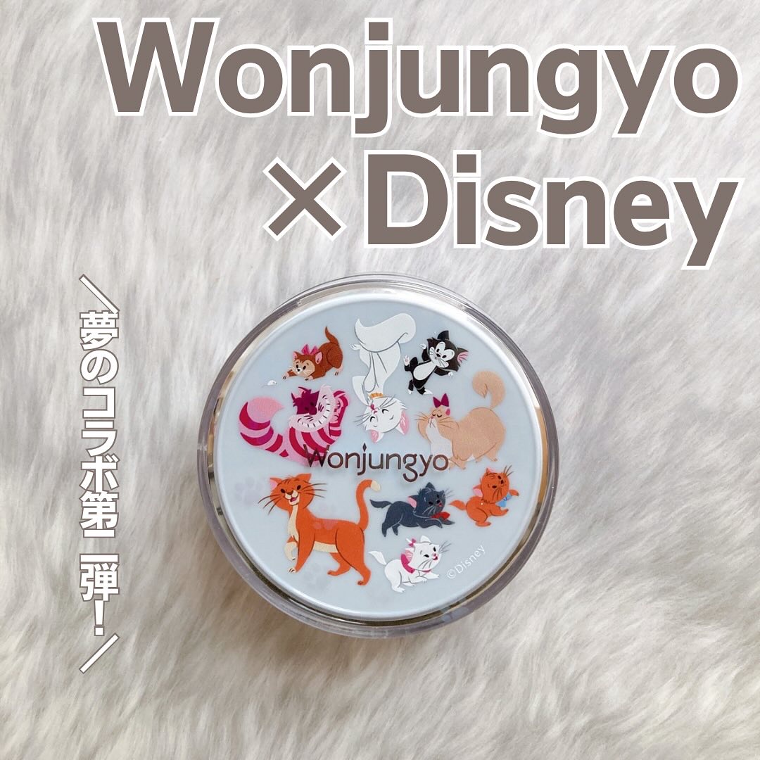 ウォンジョンヨ フィクシングブラーパウダー N/Wonjungyo/ルースパウダーを使ったクチコミ（1枚目）