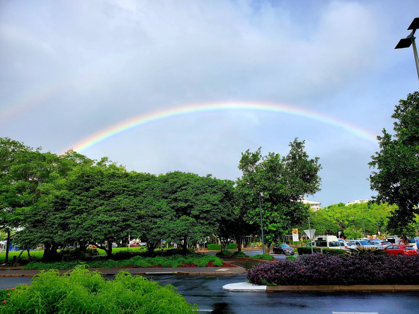 ナノエマルジョン ディープ/TOUT VERT/乳液を使ったクチコミ(3枚目)