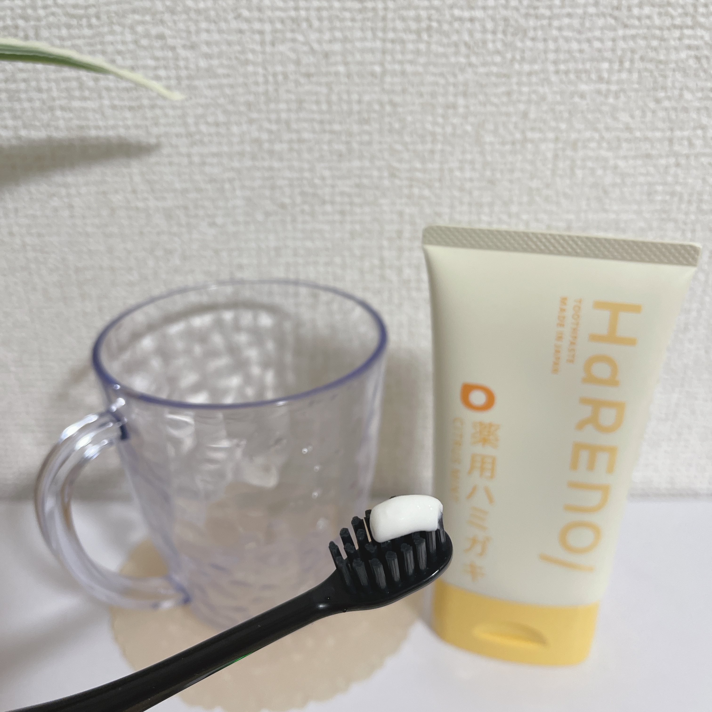 HaRENO 薬用ハミガキ/HaRENO/歯磨き粉を使ったクチコミ（3枚目）