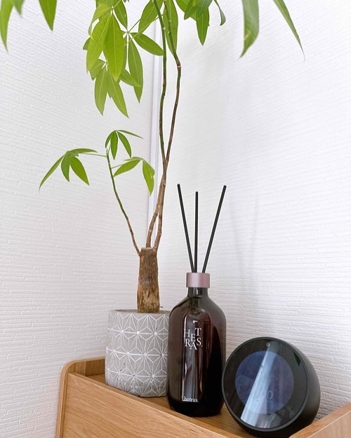 プレミアムディフューザー/hetras/ルームフレグランスを使ったクチコミ（1枚目）