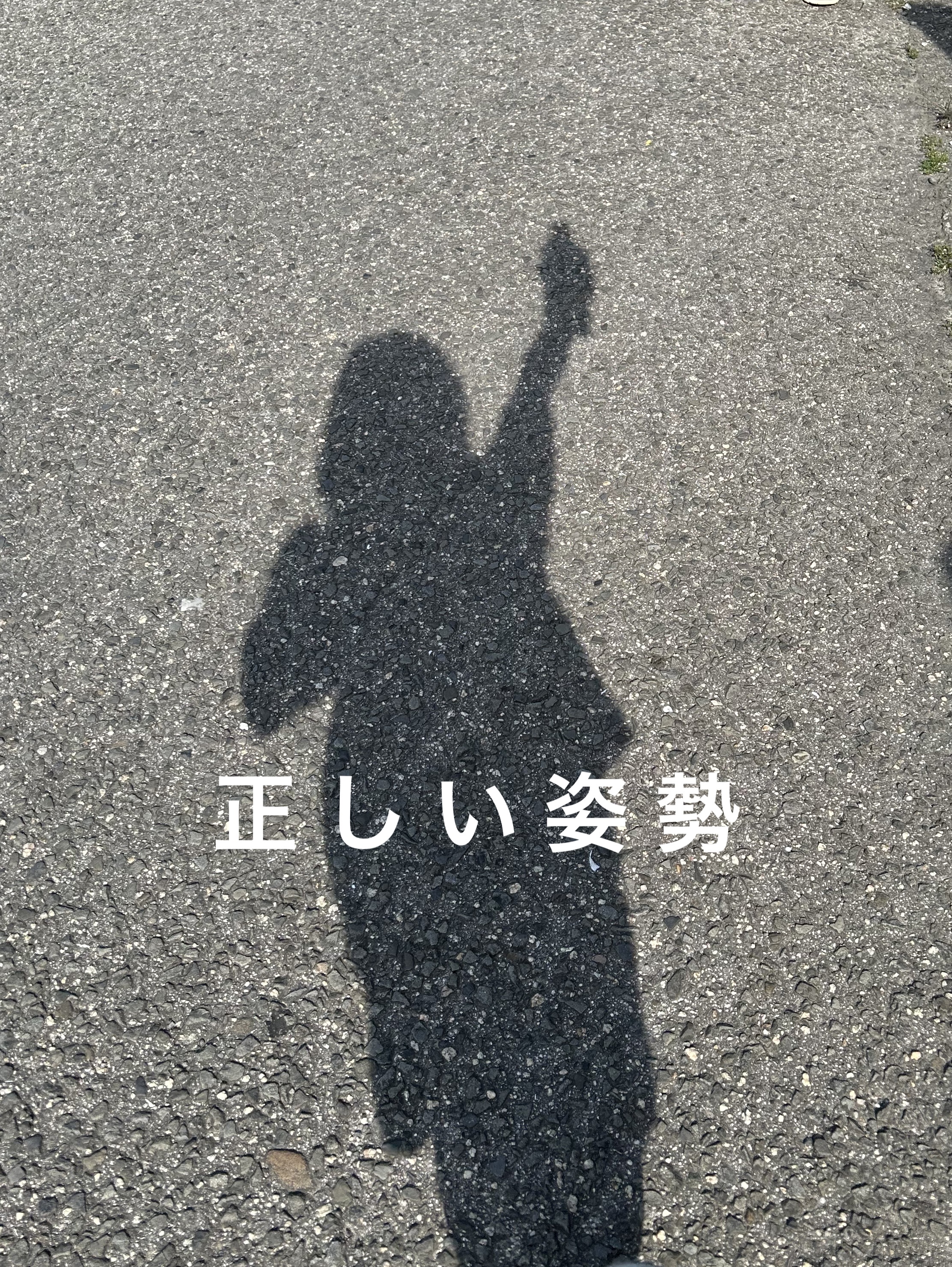 美姿勢サポーター/DAISO/ボディグッズを使ったクチコミ（1枚目）