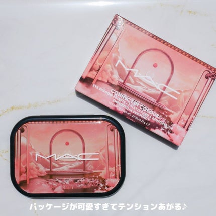 コネクト イン カラー アイシャドウ パレット × 6/M・A・C/アイシャドウパレットを使ったクチコミ(3枚目)