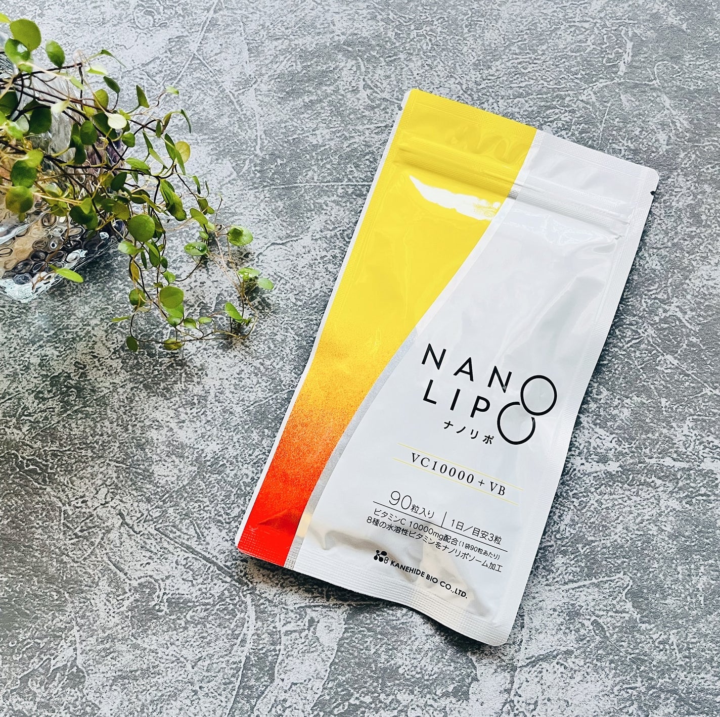 NANO LIPO VC10000+VB カプセル