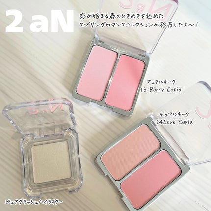 デュアルチーク/2aN/パウダーチークを使ったクチコミ(2枚目)