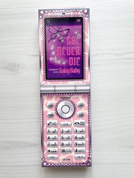 GAL NEVER DIE 1Day/GAL NEVER DIE/ワンデー(1DAY)カラコンを使ったクチコミ(4枚目)