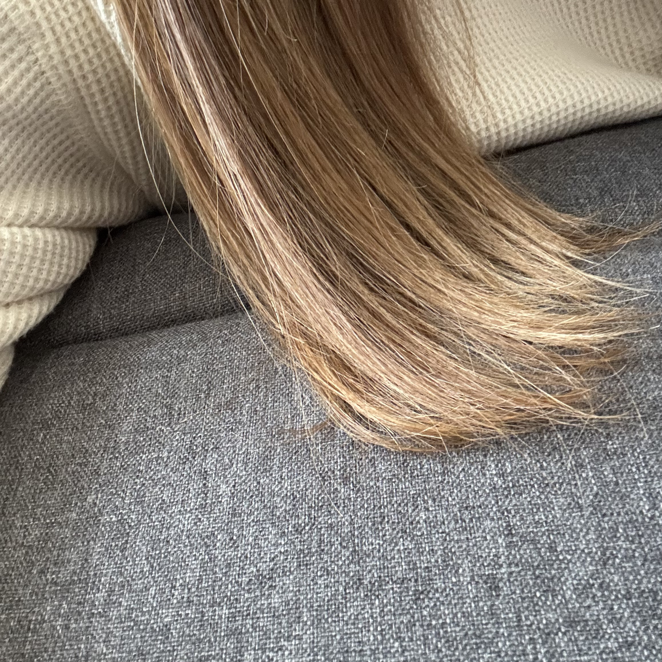 ミードリップ レスキュー シャンプー/MEDULLA/シャンプー・コンディショナーを使ったクチコミ（3枚目）