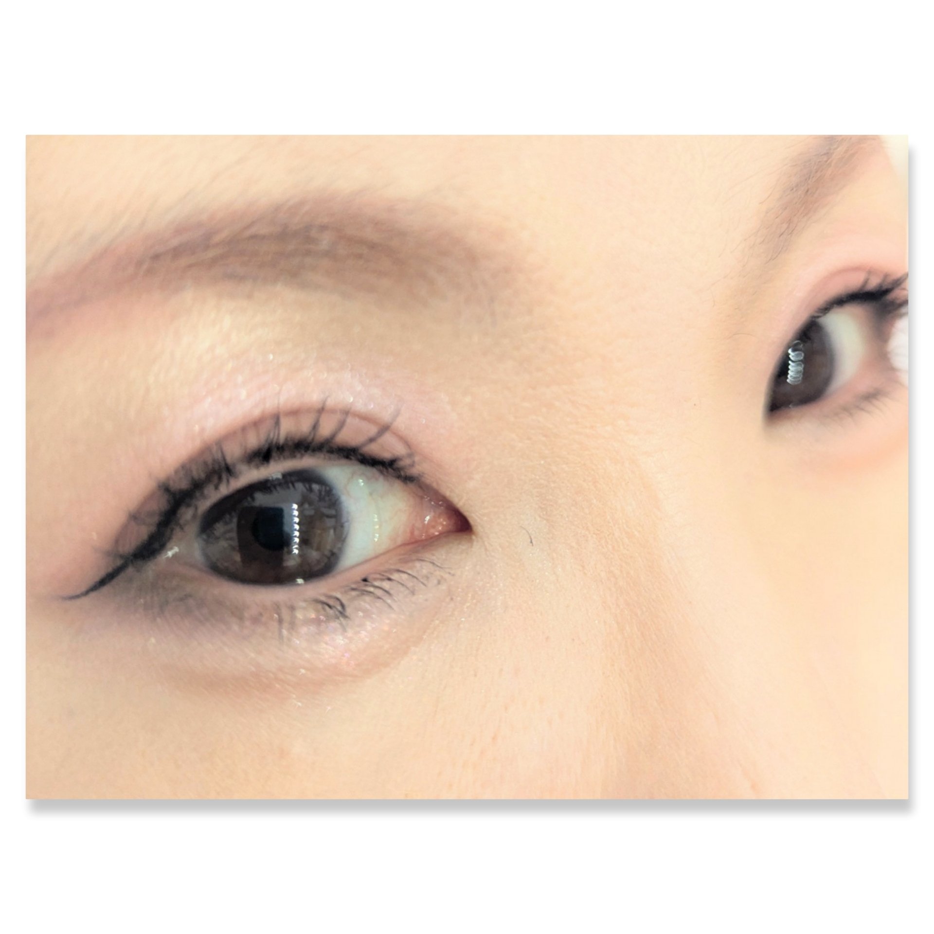 ソフトブラーリングアイパレット/wakemake/アイシャドウパレットを使ったクチコミ（2枚目）