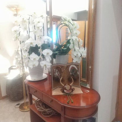 アイラッシュセラムEX/ヒロインメイク/まつげ美容液を使ったクチコミ(6枚目)