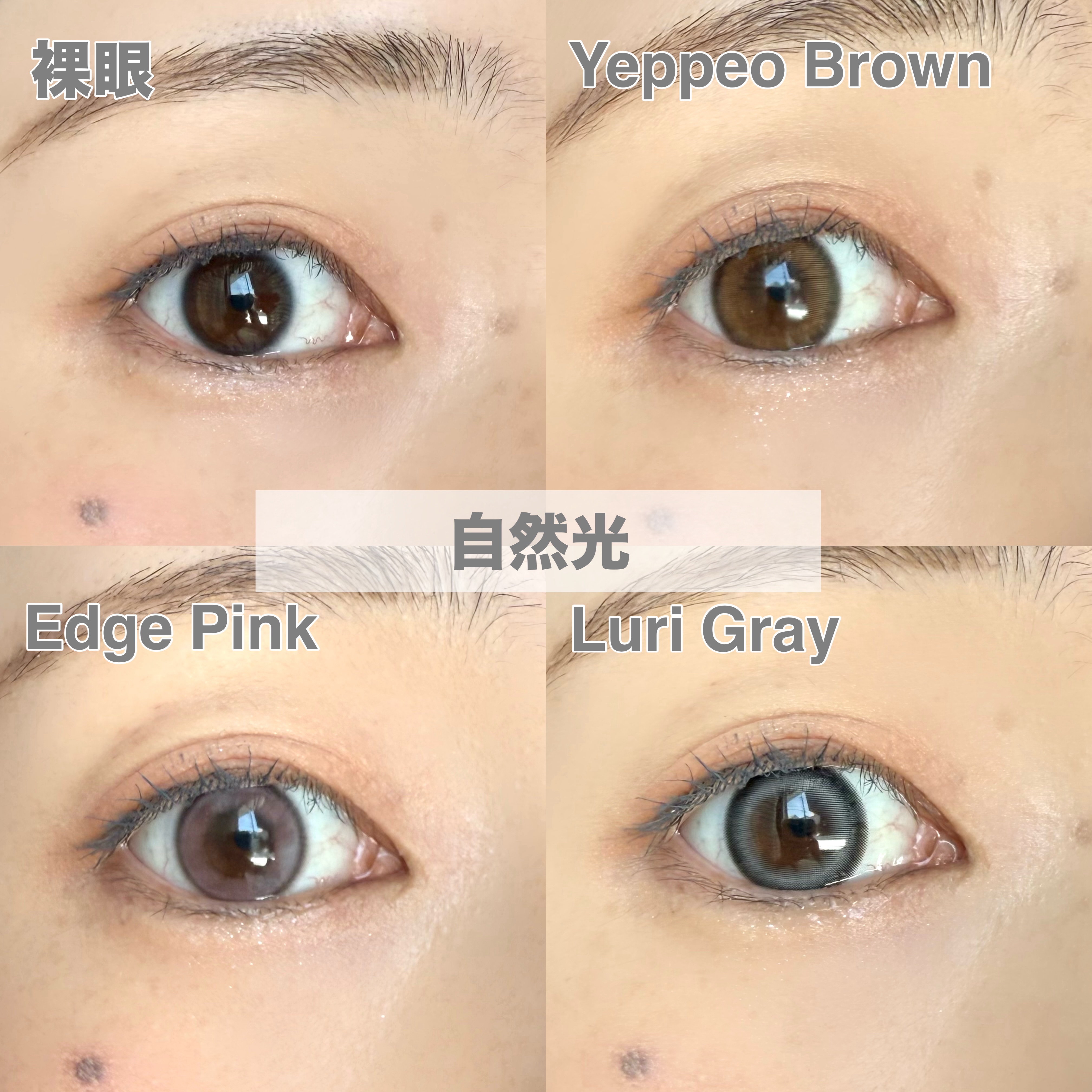 ANGÉLIQUE 1day/ANGÉLIQUE/ワンデー（１DAY）カラコンを使ったクチコミ（3枚目）