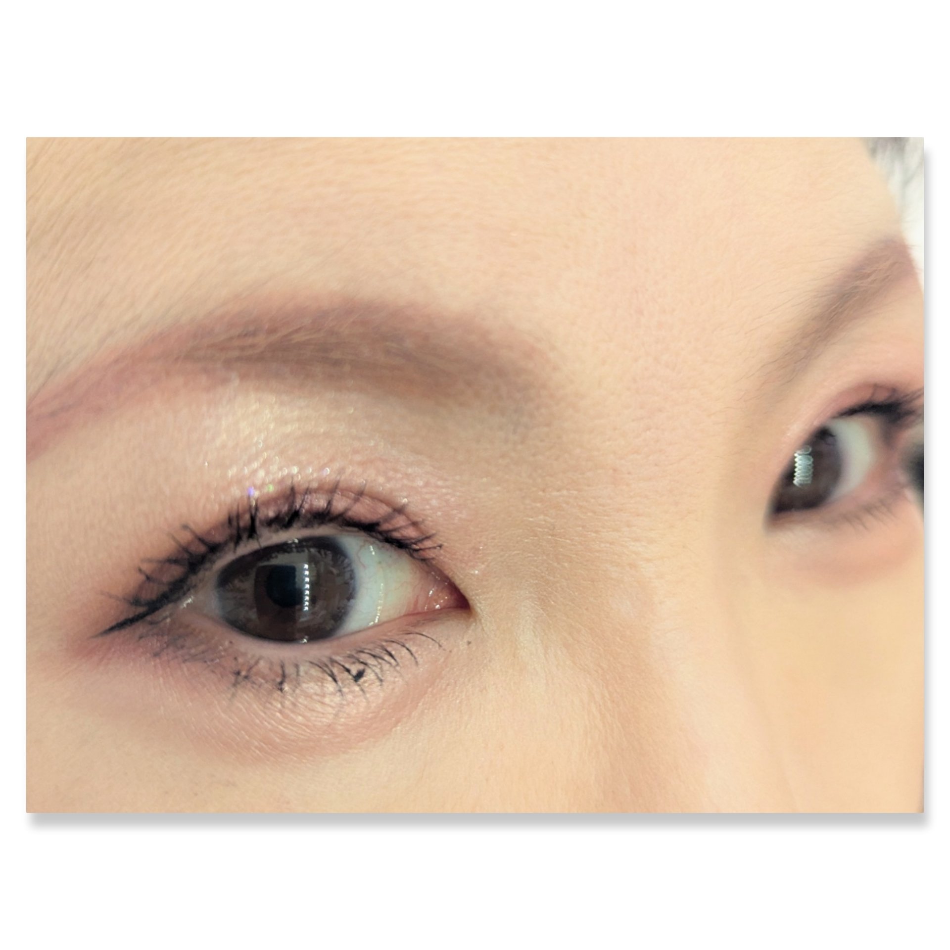 ラブ・ライナー　アイカラーパレット　ロマンティックブルームコレクション＜アイシャドウ＞/ラブ・ライナー/アイシャドウパレットを使ったクチコミ（2枚目）