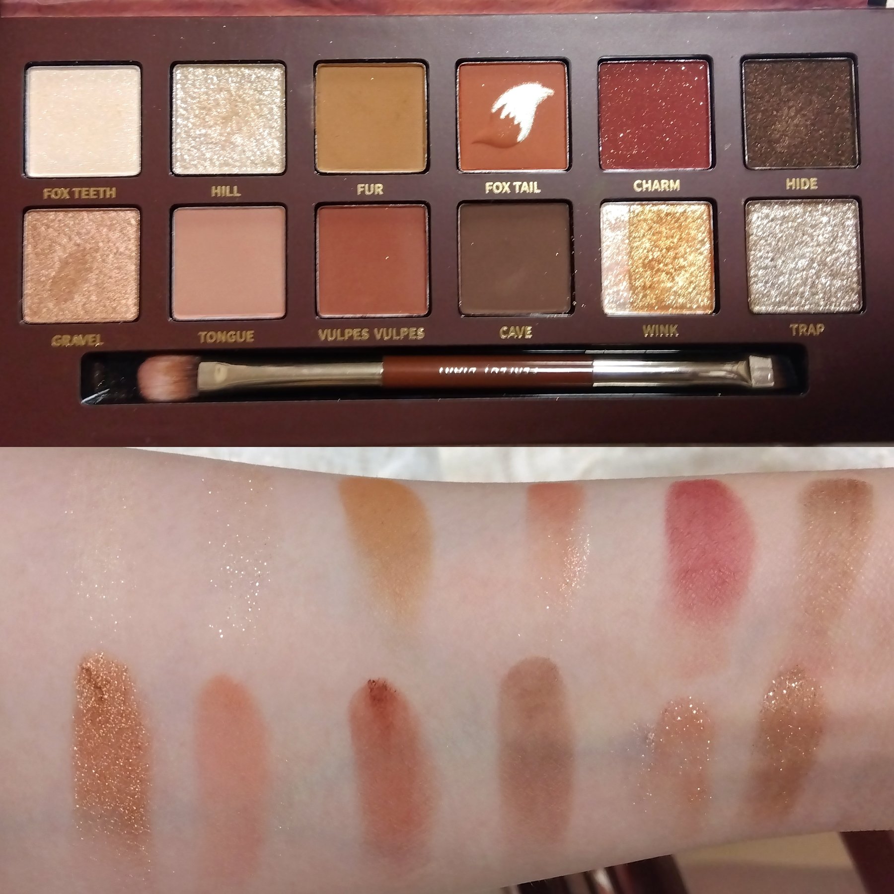 エクスプローラ12色 動物アイシャドウパレット/PERFECT DIARY/アイシャドウパレットを使ったクチコミ（2枚目）