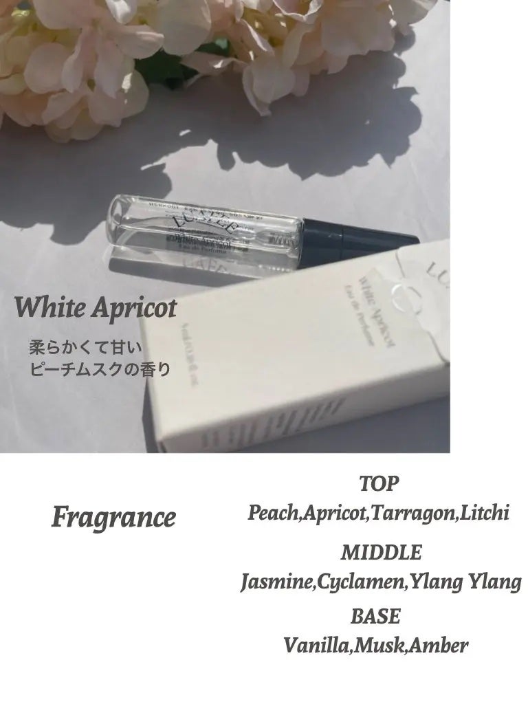 オードパルファムミニチュア/LUAFEE/香水(レディース)を使ったクチコミ(1枚目)