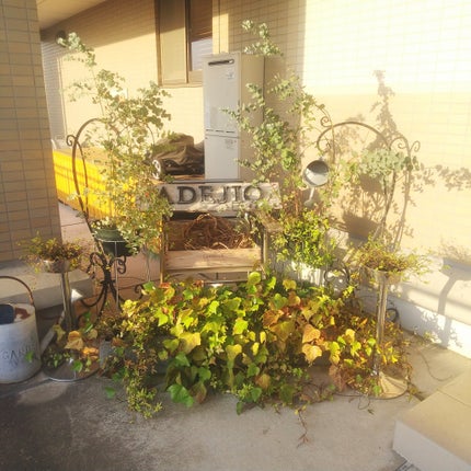 アイラッシュセラムEX/ヒロインメイク/まつげ美容液を使ったクチコミ(10枚目)