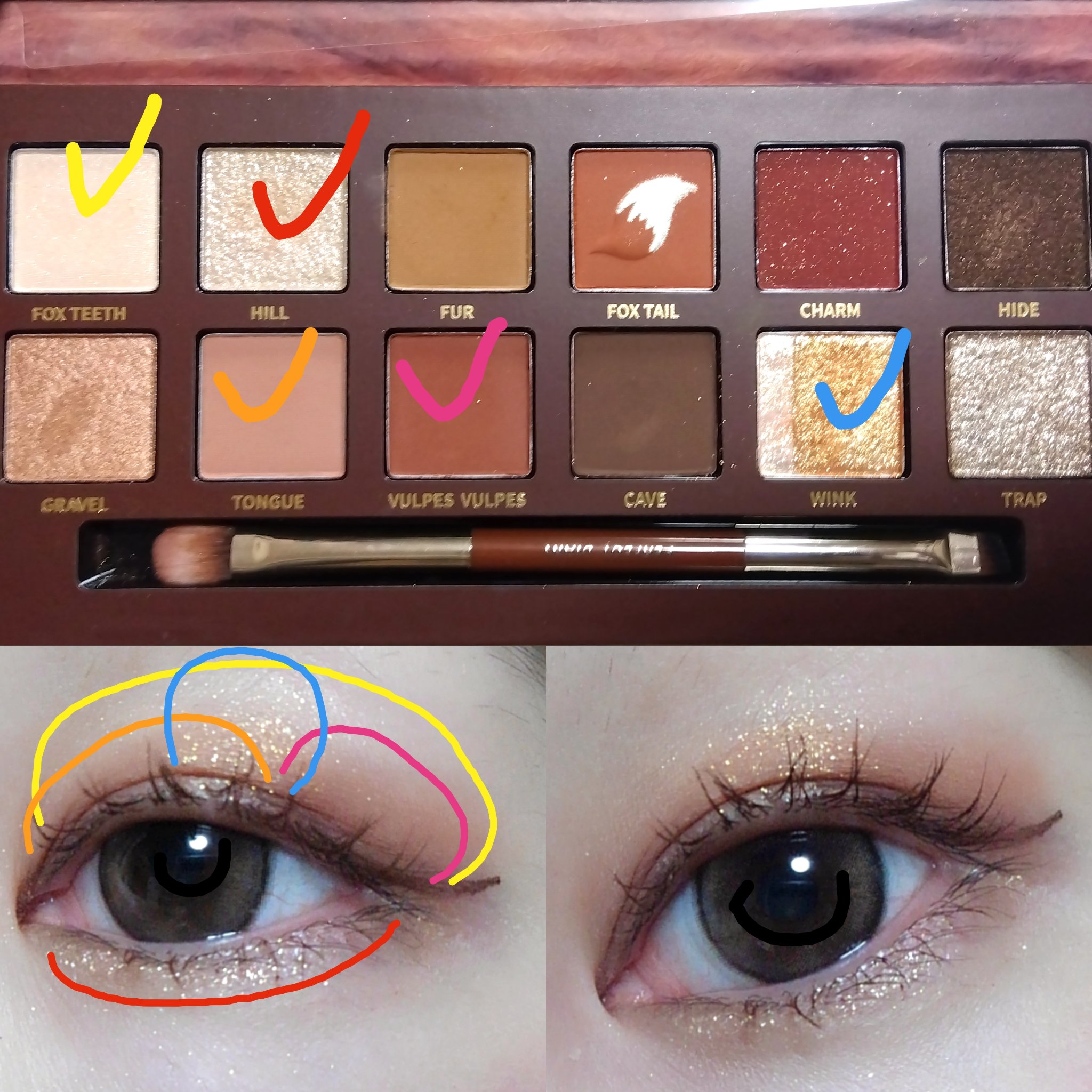 エクスプローラ12色 動物アイシャドウパレット/PERFECT DIARY/アイシャドウパレットを使ったクチコミ（3枚目）