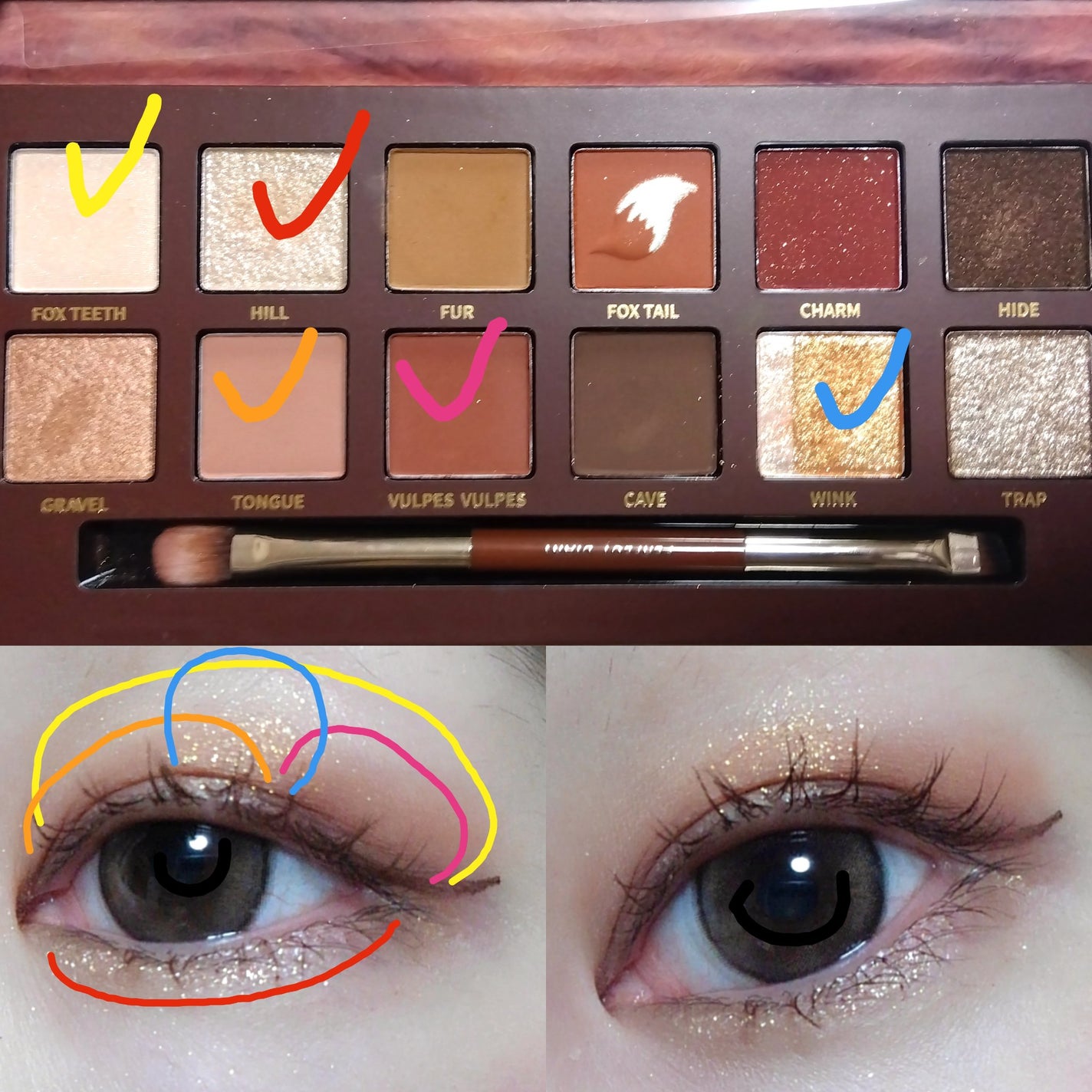 エクスプローラ12色 動物アイシャドウパレット/PERFECT DIARY/アイシャドウパレットを使ったクチコミ(3枚目)