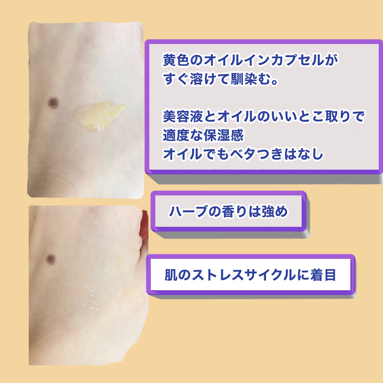 イモーテル オーバーナイトリセットセラム/L'OCCITANE/美容液を使ったクチコミ（2枚目）