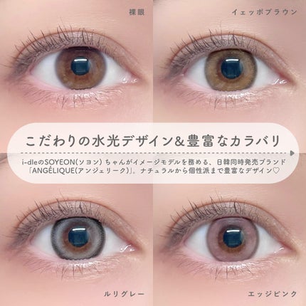 ANGÉLIQUE 1day/ANGÉLIQUE/ワンデー(1DAY)カラコンを使ったクチコミ(2枚目)