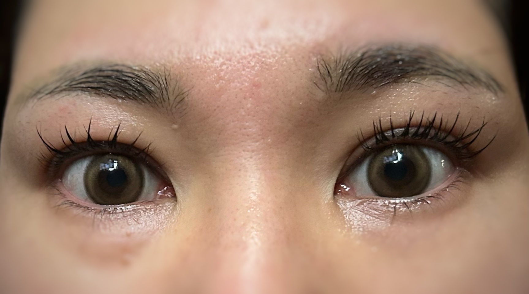 MOLAK 1day トゥインクルブラウン/MOLAK/ワンデー（１DAY）カラコンを使ったクチコミ（2枚目）