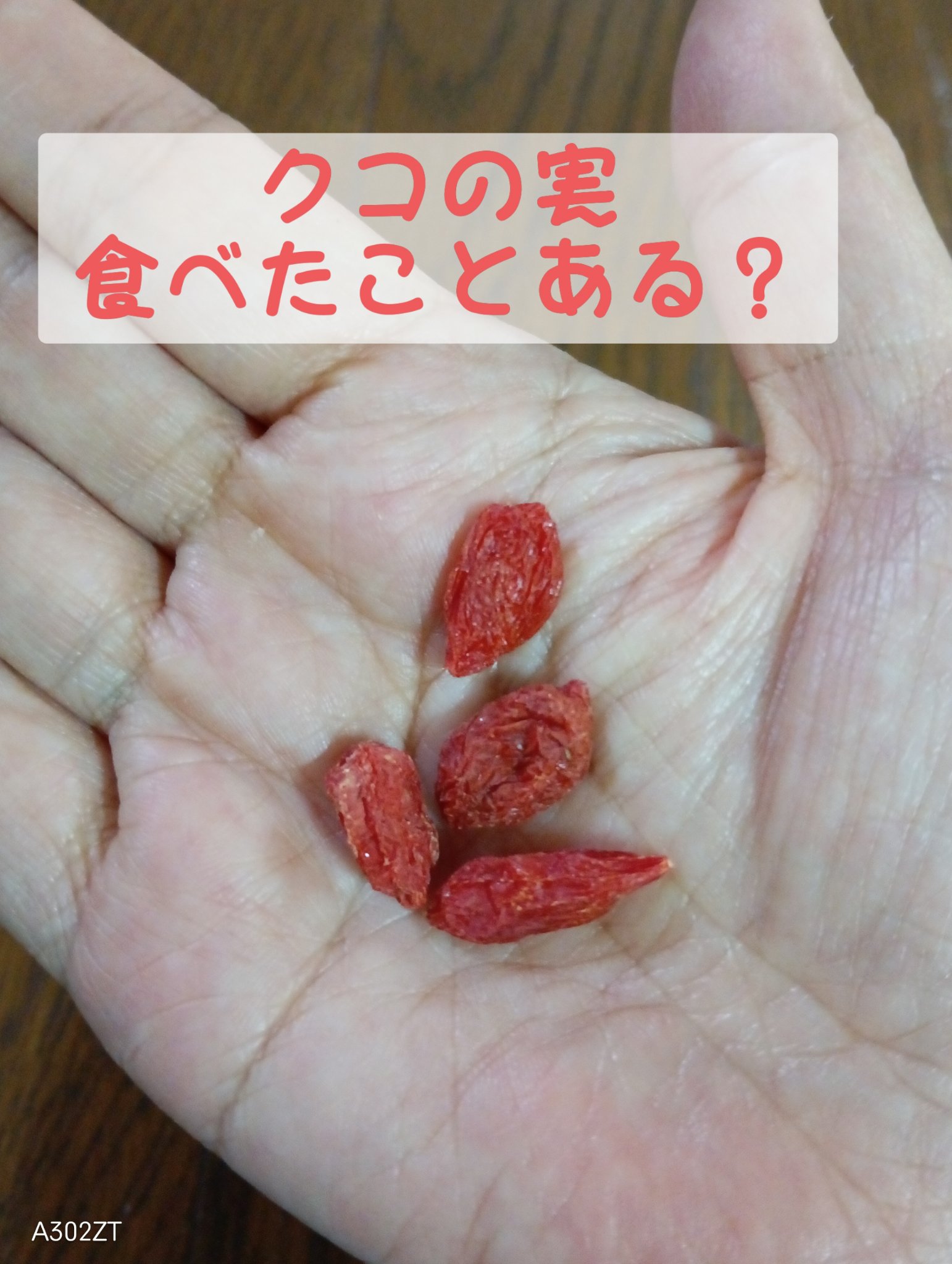 クコの実/神戸物産/その他食品を使ったクチコミ（1枚目）
