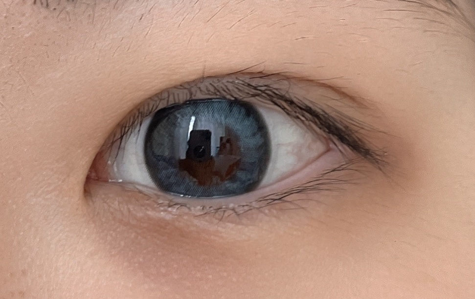 N’s COLLECTION 1day/N’s COLLECTION/ワンデー（１DAY）カラコンを使ったクチコミ（1枚目）