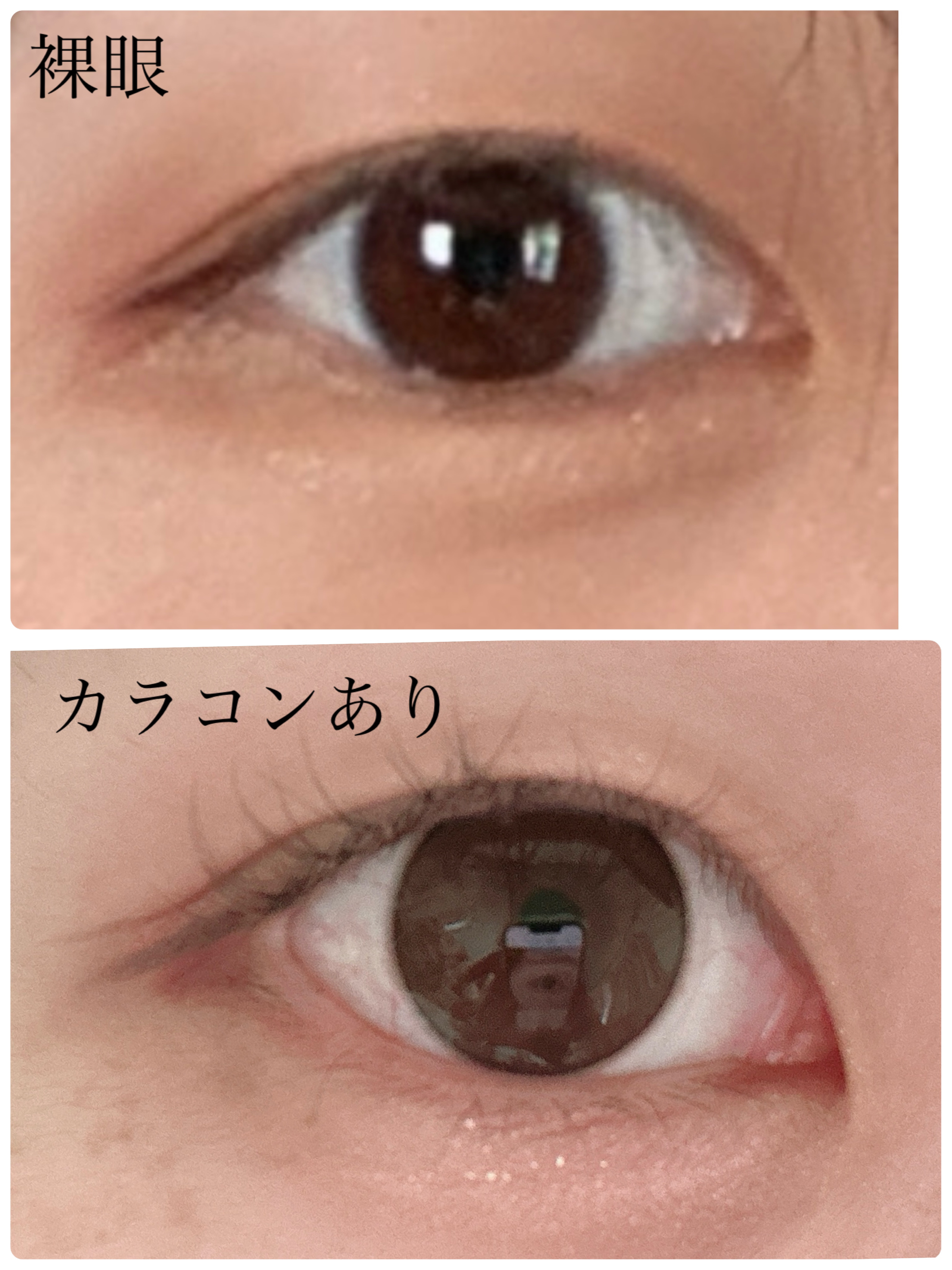 melady 1day/melady/ワンデー（１DAY）カラコンを使ったクチコミ（2枚目）