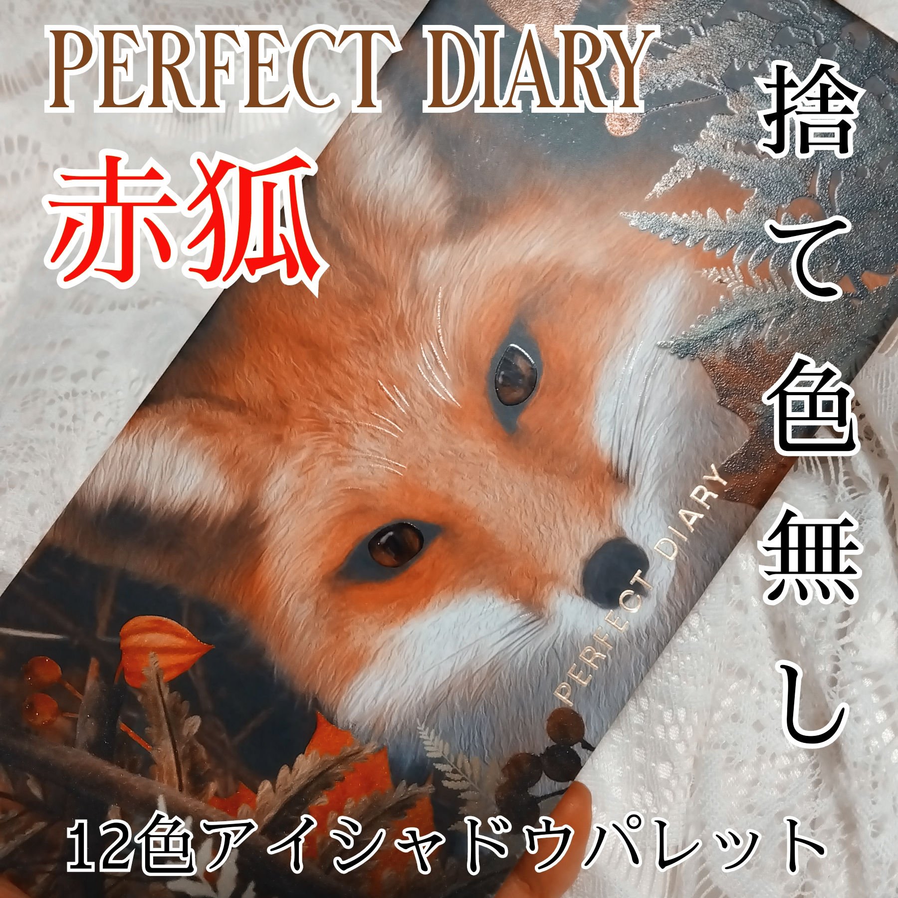 エクスプローラ12色 動物アイシャドウパレット/PERFECT DIARY/アイシャドウパレットを使ったクチコミ（1枚目）