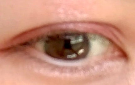 【旧品】パーフェクトスタイリストアイズ/キャンメイク/アイシャドウパレットを使ったクチコミ(3枚目)