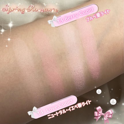 デュアルチーク/2aN/パウダーチークを使ったクチコミ(6枚目)