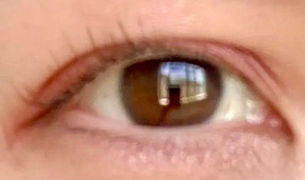 【旧品】パーフェクトスタイリストアイズ/キャンメイク/アイシャドウパレットを使ったクチコミ(2枚目)