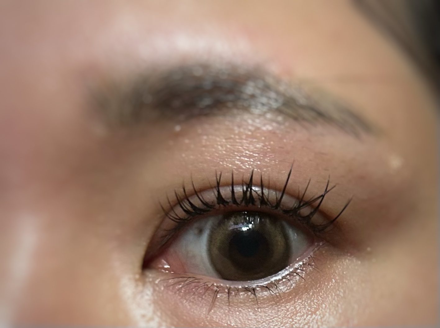 MOLAK 1day トゥインクルブラウン/MOLAK/ワンデー（１DAY）カラコンを使ったクチコミ（1枚目）