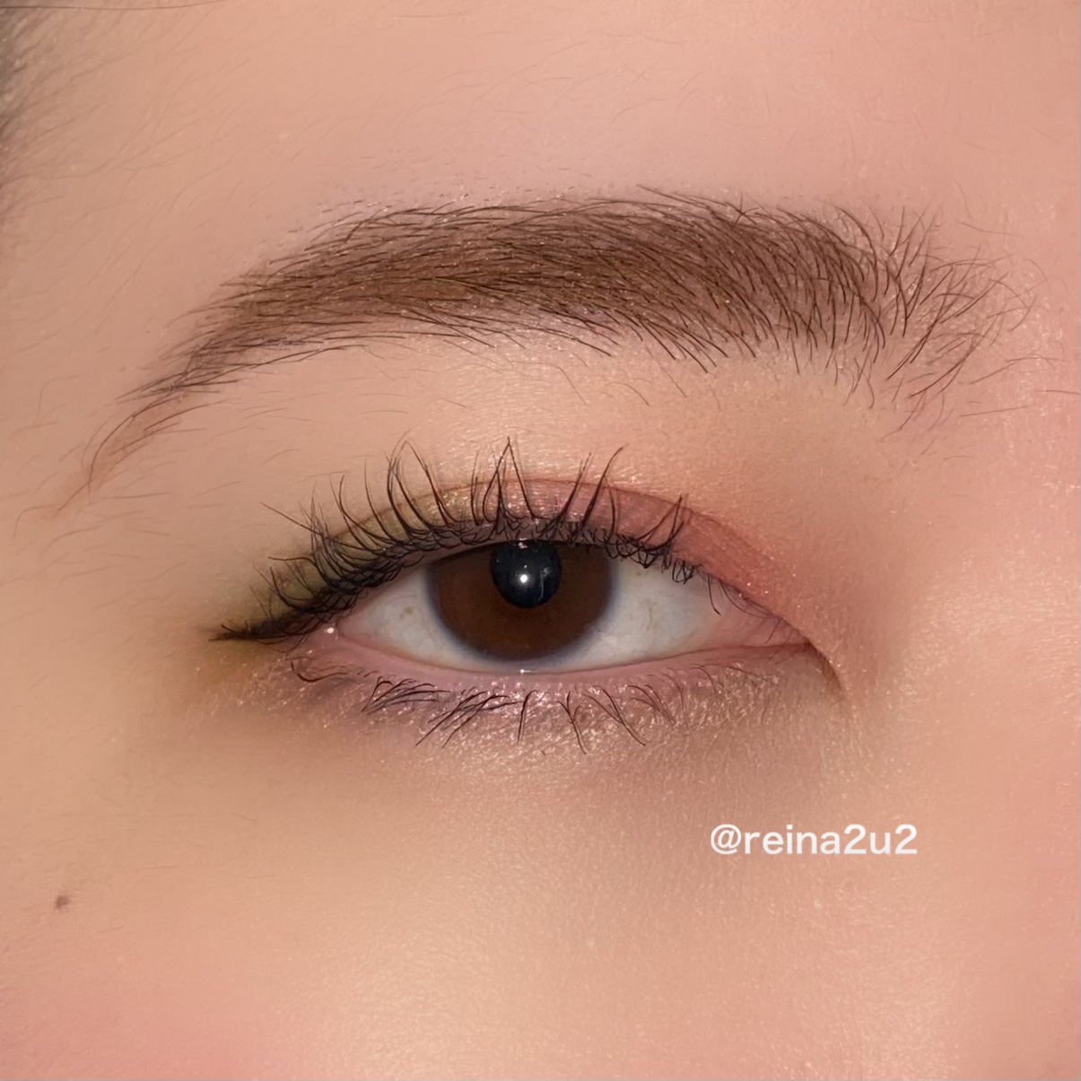 EYESHADOW SWEET DIA/Ameli/単色アイシャドウを使ったクチコミ（3枚目）