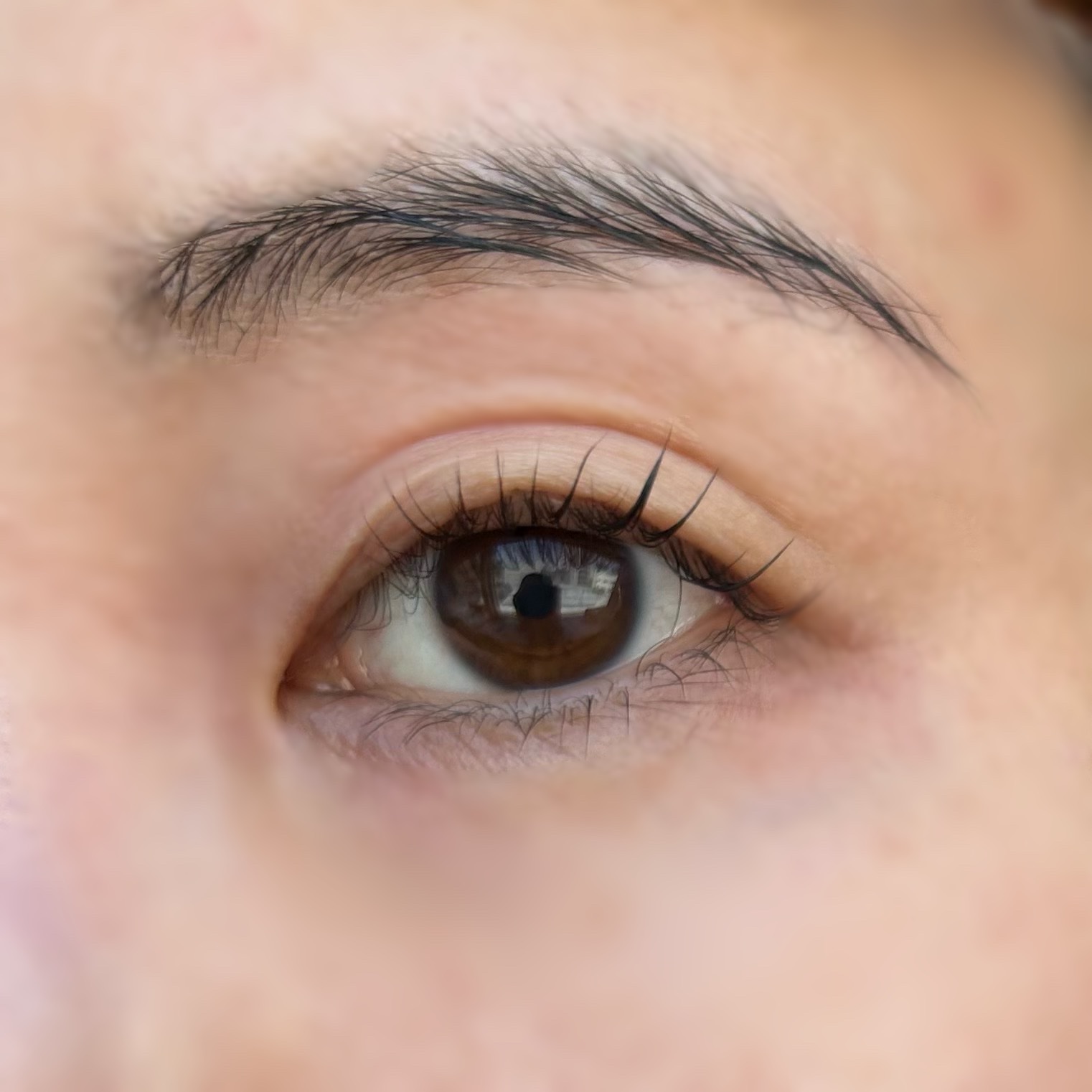 my confidence brow/vim BEAUTY/眉マスカラを使ったクチコミ（2枚目）