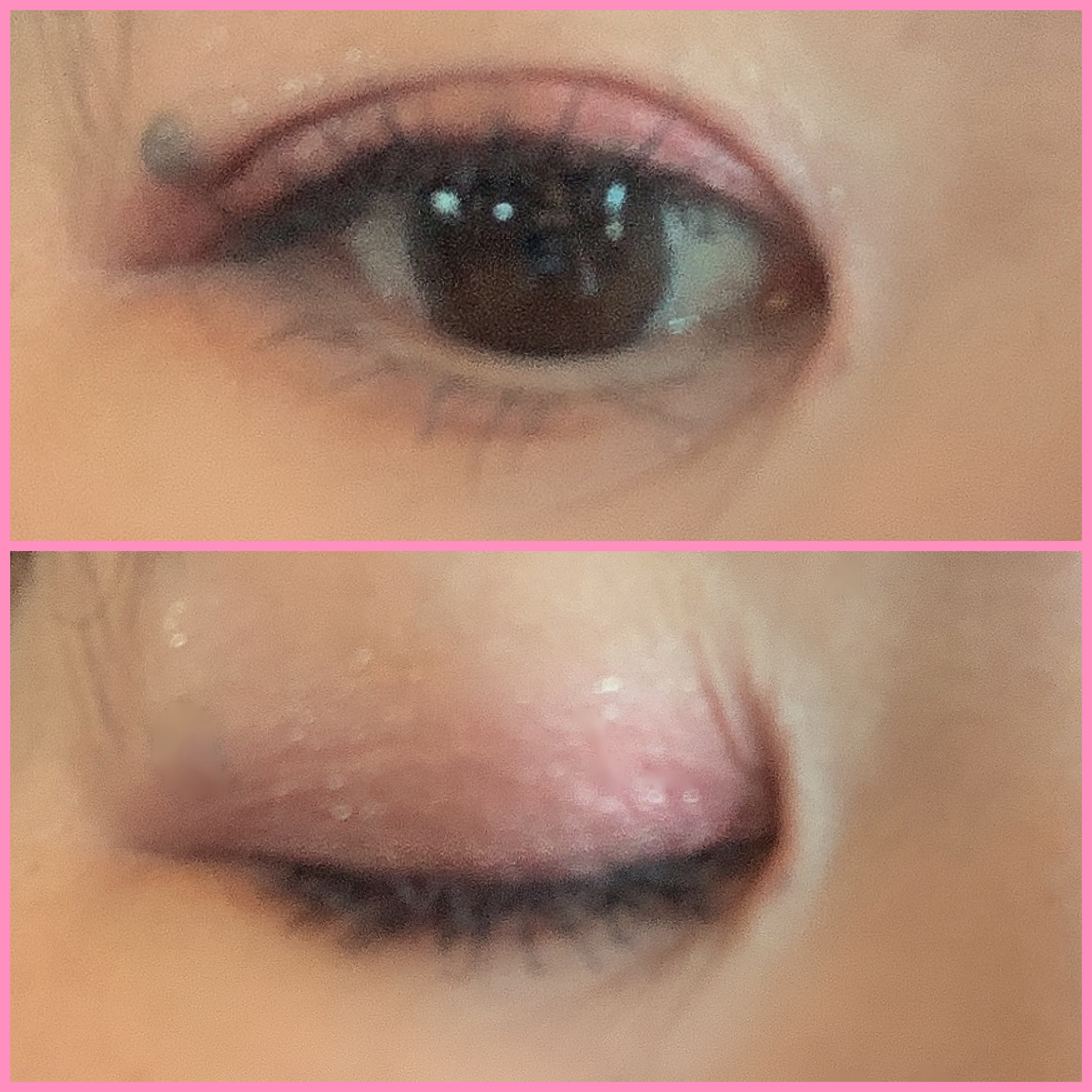 エクスプローラ12色 動物アイシャドウパレット/PERFECT DIARY/アイシャドウパレットを使ったクチコミ（2枚目）