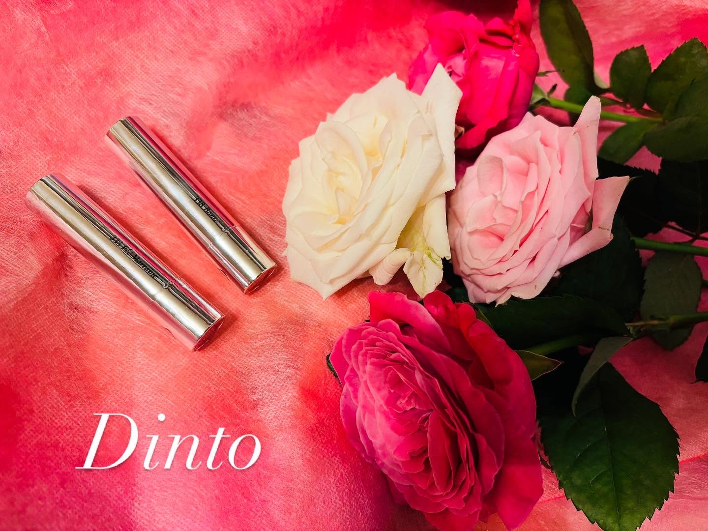 オーバーロードリップグレイズ/Dinto/口紅を使ったクチコミ（1枚目）