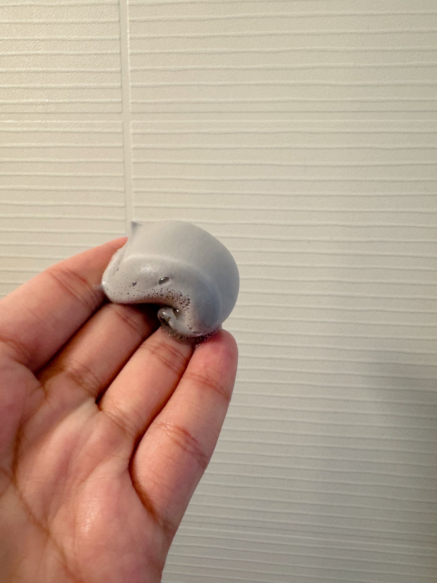 ブライトニング ホイップ ウォッシュ/DHC/泡洗顔を使ったクチコミ(2枚目)