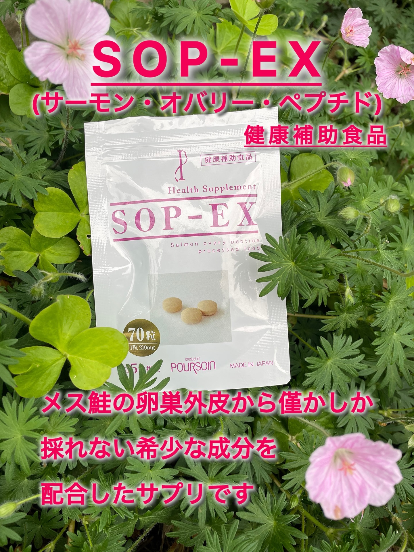 SOP-EX/プルソワン/健康サプリメントを使ったクチコミ（2枚目）