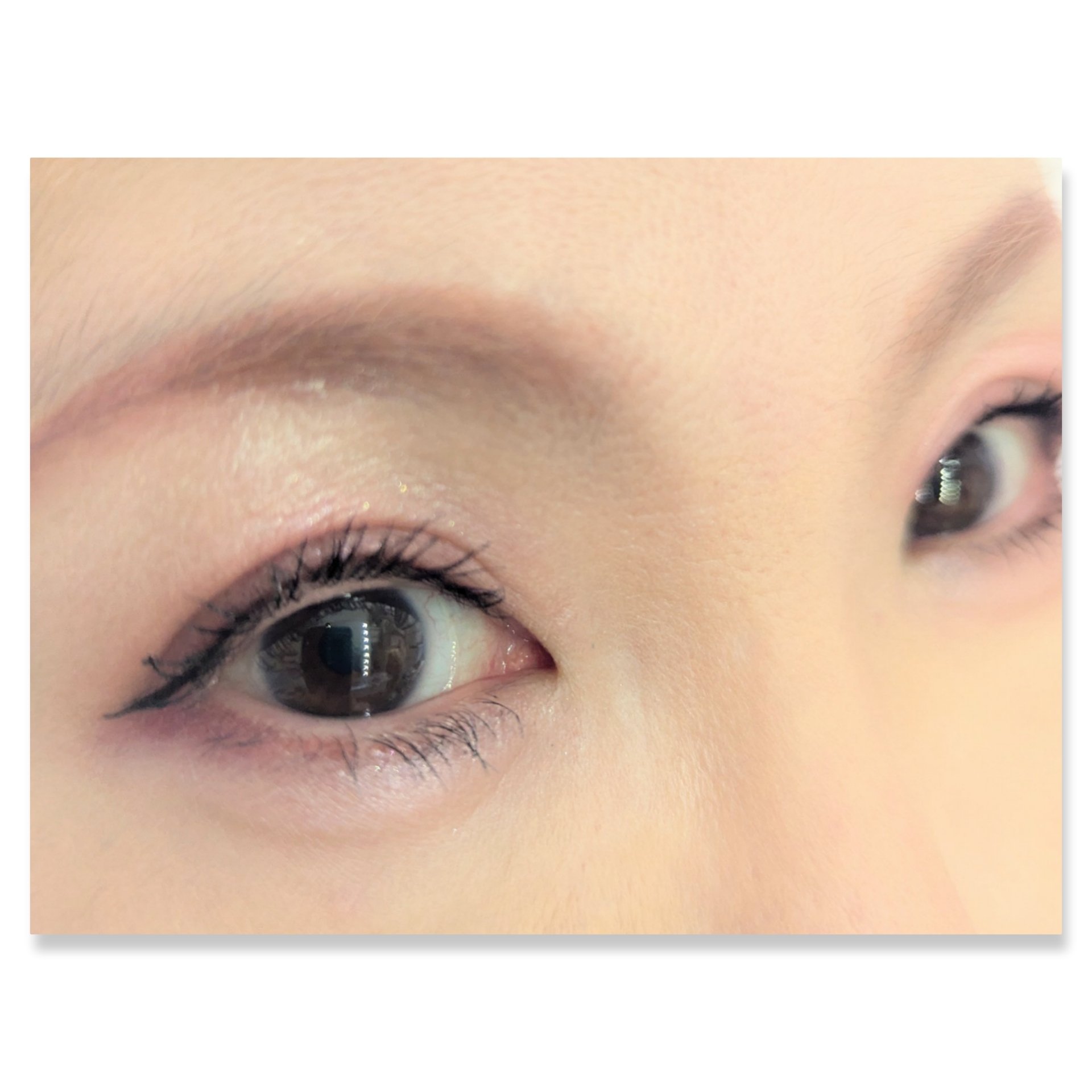 レブロン ダズル アイシャドウ クアッド/REVLON/アイシャドウパレットを使ったクチコミ（2枚目）