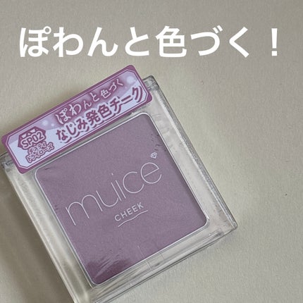 ぽわんチーク SP02 ダスティドライローズ(限定)/muice/パウダーチークの画像