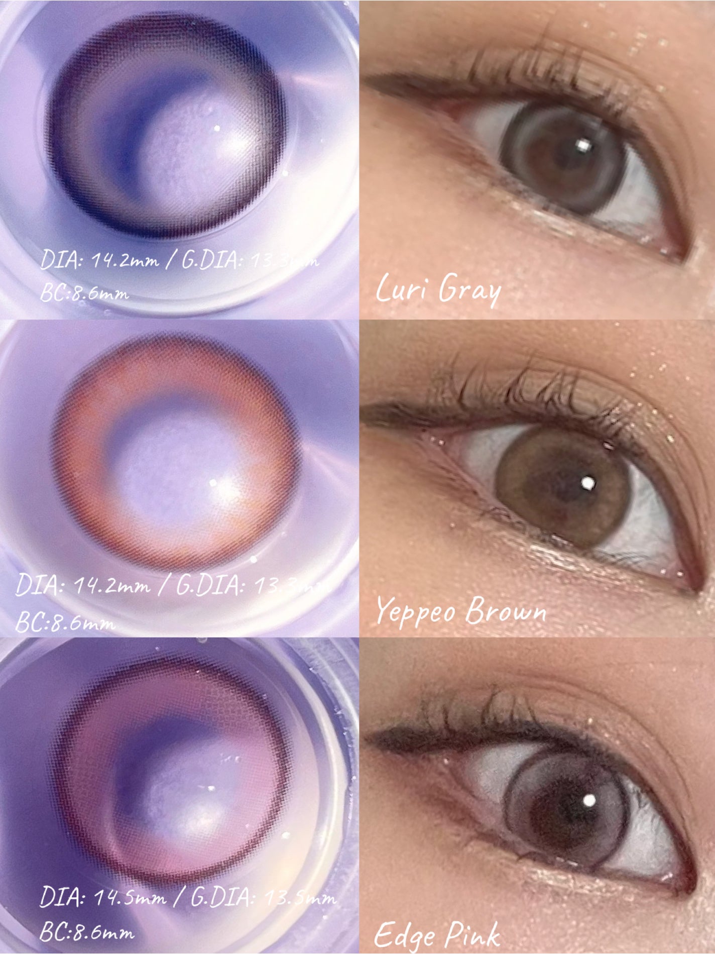 ANGÉLIQUE 1day/ANGÉLIQUE/ワンデー(1DAY)カラコンを使ったクチコミ(1枚目)