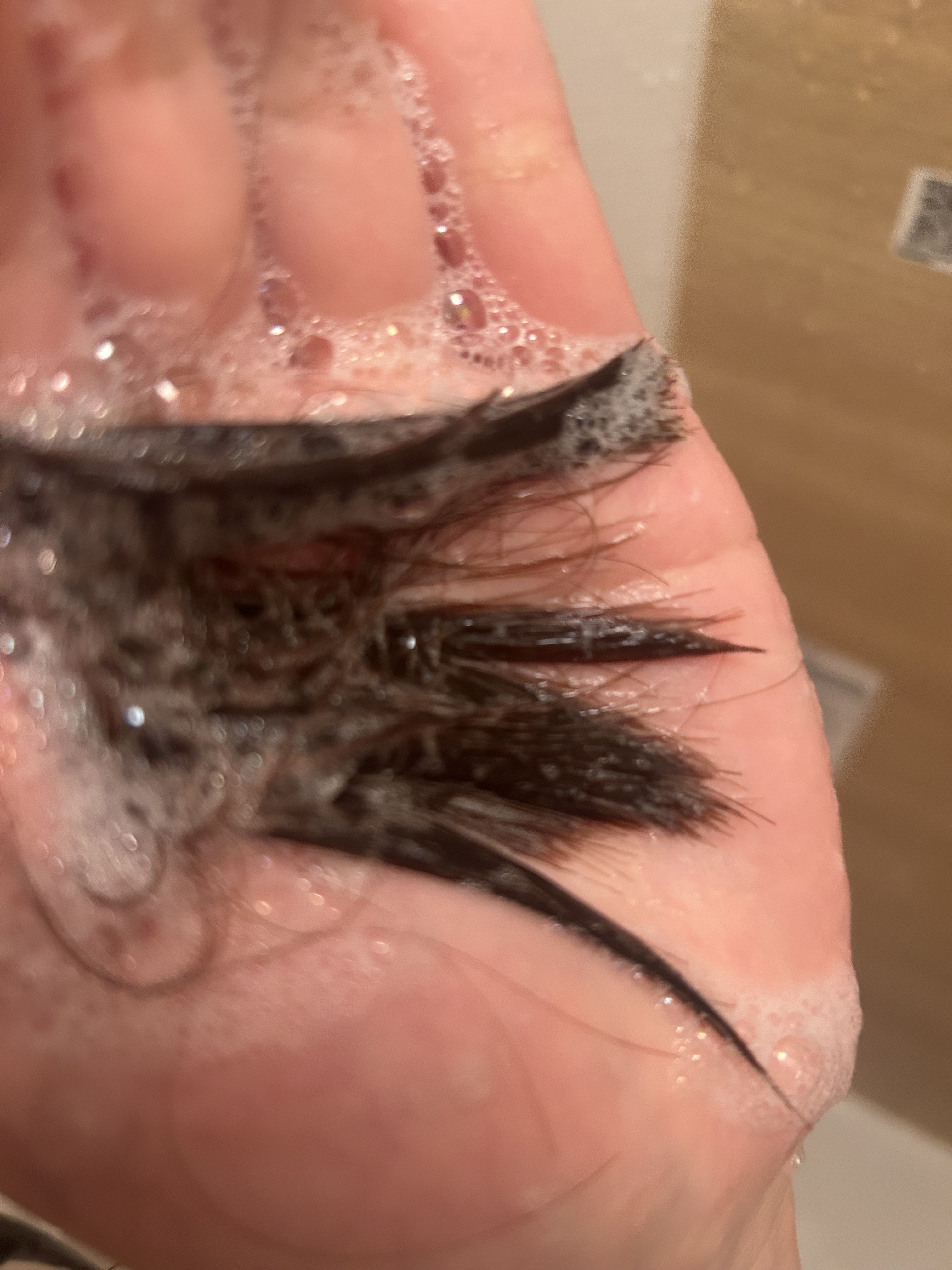 h&s 深ヘッドスパ アドバンスド エイジング ケア*4 シャンプー[医薬部外品]/トリートメント/h&s/市販シャンプーを使ったクチコミ（2枚目）