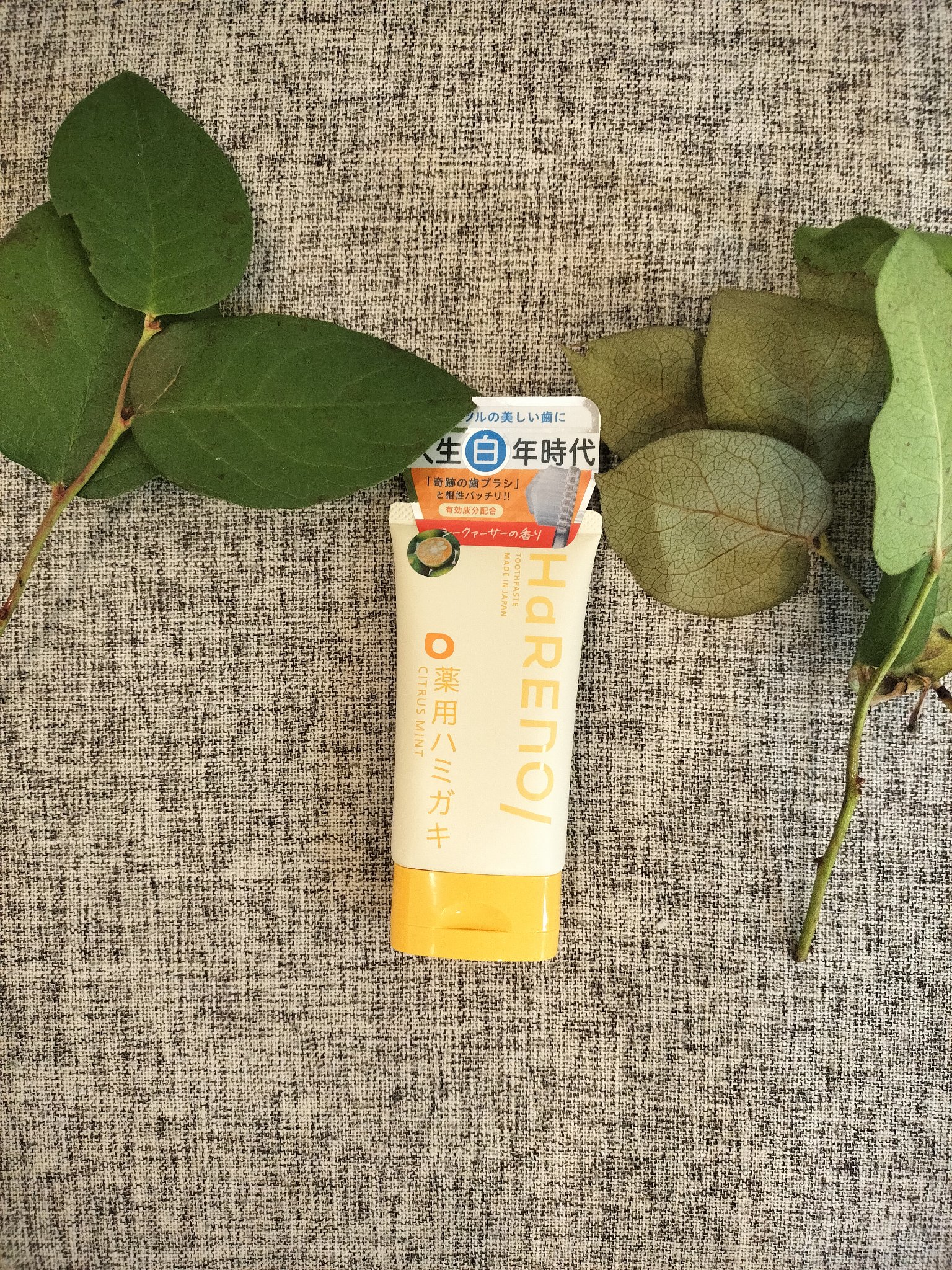 HaRENO 薬用ハミガキ/HaRENO/歯磨き粉を使ったクチコミ（1枚目）