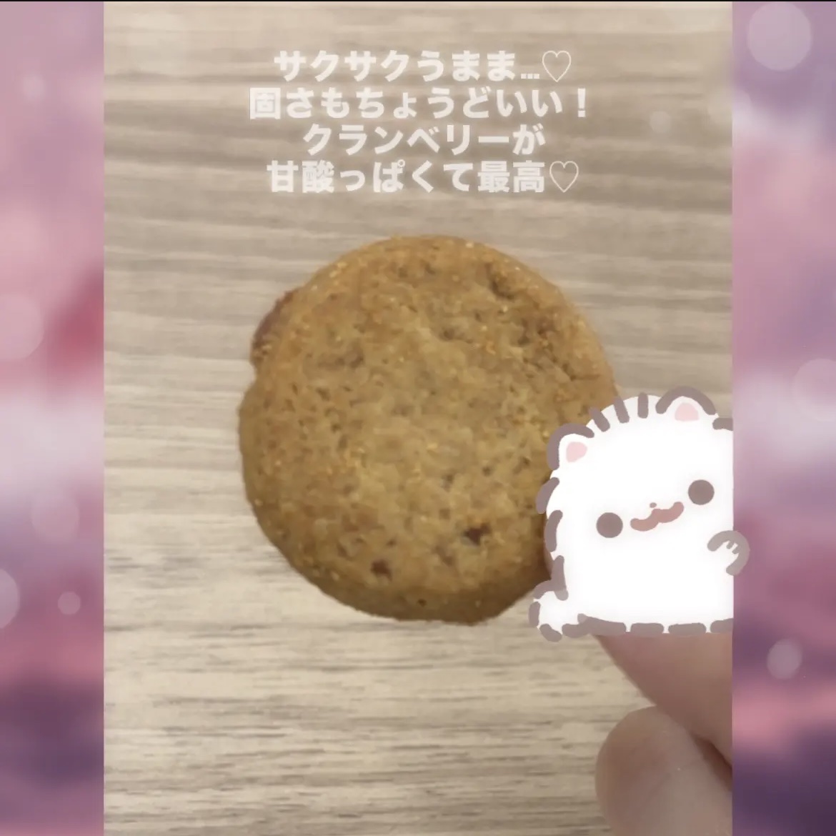 WHOLE WHEAT DIET COOKIE/HEALSLAB/食品を使ったクチコミ（3枚目）