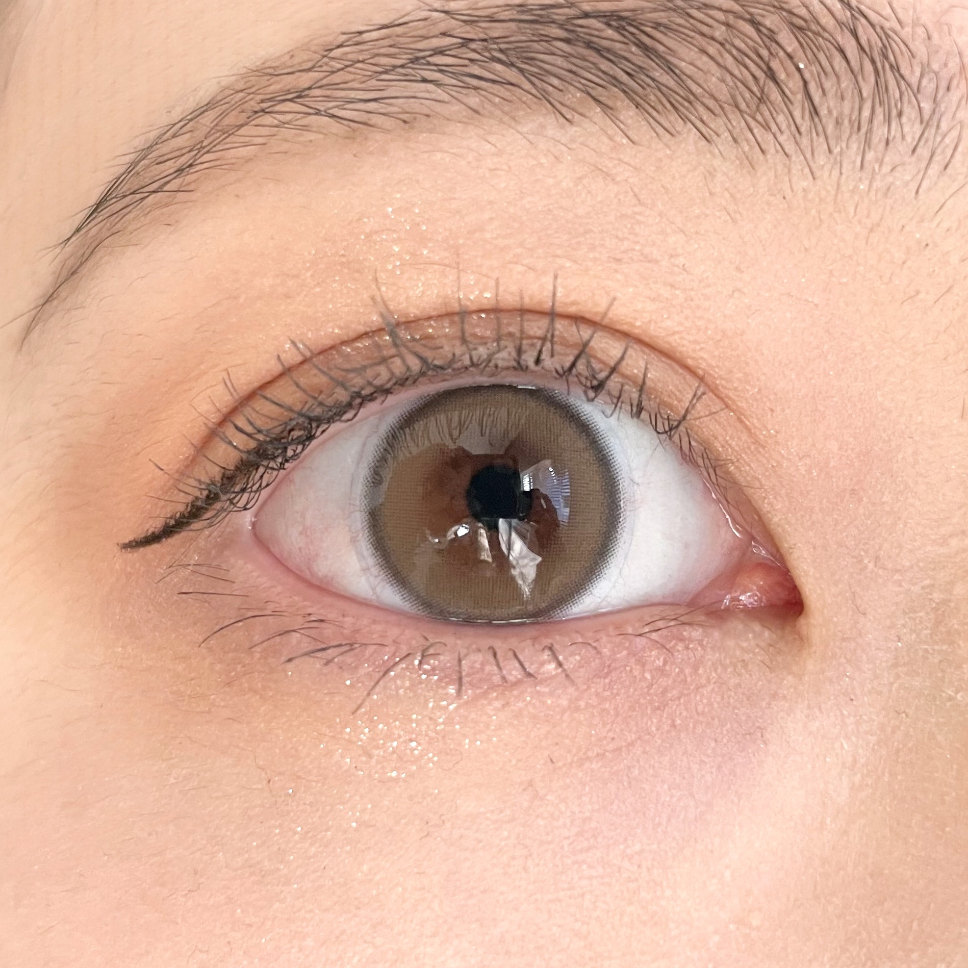 ビュームワンデー/ビューム/ワンデー（１DAY）カラコンを使ったクチコミ（1枚目）